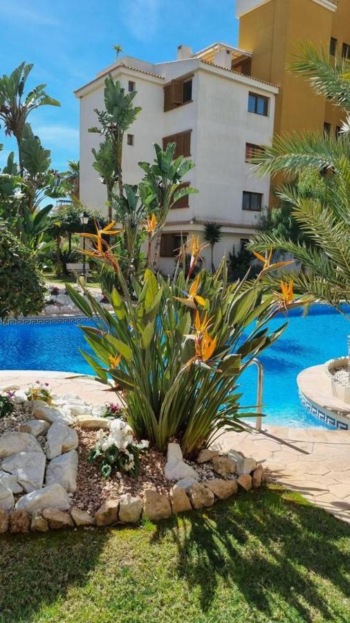 Punta Prima Nice Apartment With Sea Views Torrevieja Dış mekan fotoğraf